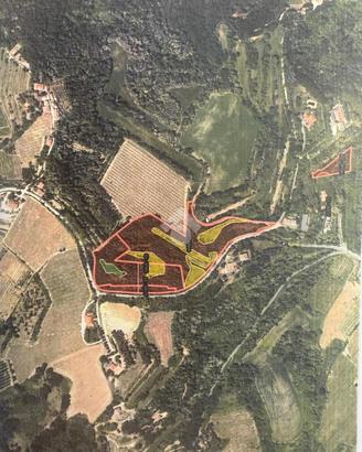 TER. AGRICOLO A BERTINORO