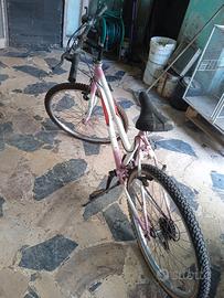 venddo biciclette 
