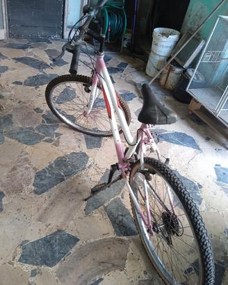 venddo biciclette 