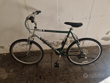 bicicletta verde e argento 