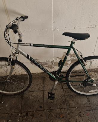 bicicletta verde e argento 