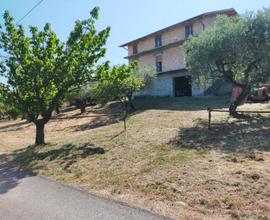 CASA BIFAMILIARE 360Mq+6000Mq Terreno uliveto