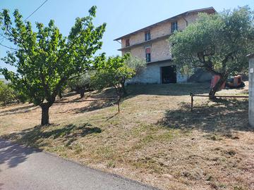 CASA BIFAMILIARE 360Mq+6000Mq Terreno uliveto