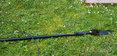 potatore telescopico