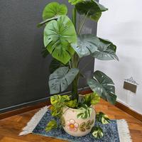 pianta con vaso thun