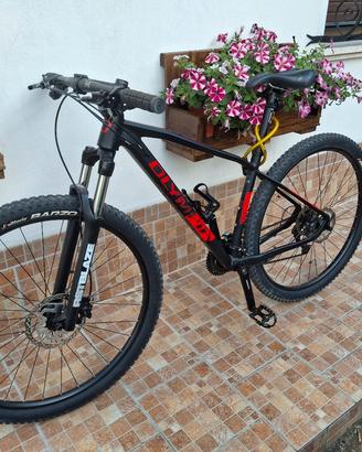 Bicicletta Mtb