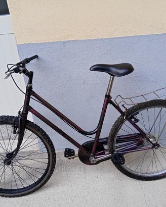 bici MTB/Olanda 26"