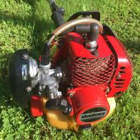 Decespugliatore Shindaiwa S25