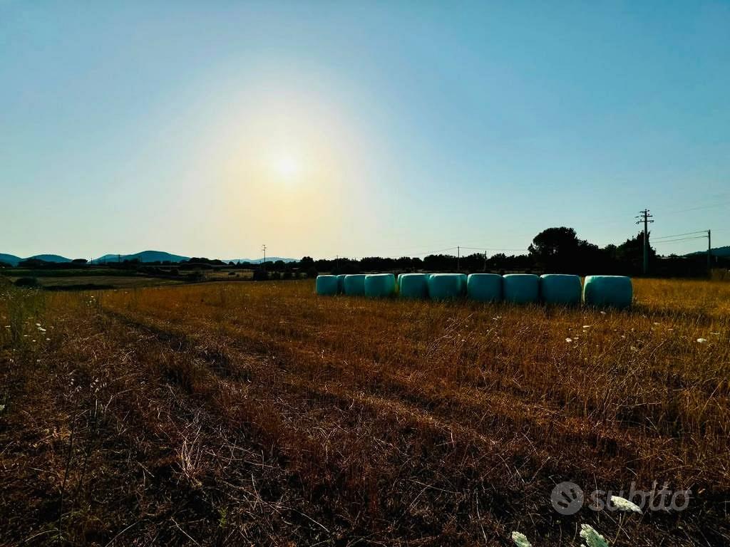 Terreno di 9000 m² a Bracciano - Vista 2