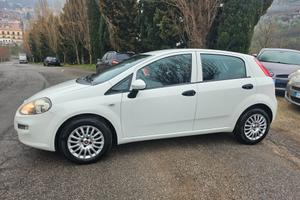 Fiat Punto 1.3 MJT II 75 CV 5 porte Street 2015
