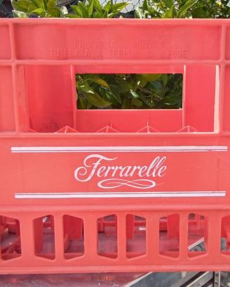 Cassetta Ferrarelle Rossa – Portabottiglie Acqua 