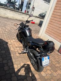 moto voge brivido125s