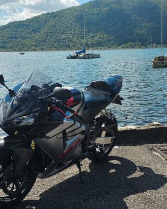 Honda CBR 600rr