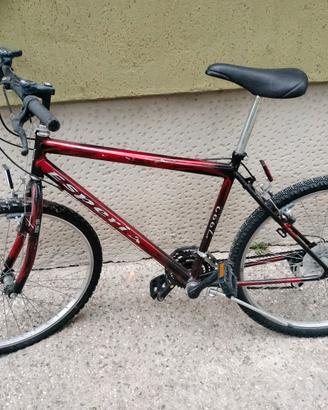 Mountain bike unisex