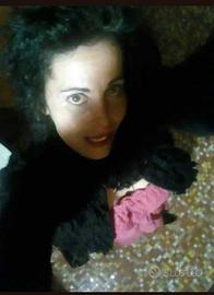 Cameriera ai piani oppure addetta cucina