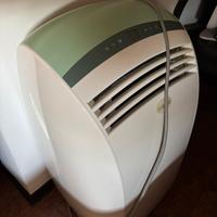 Condizionatore Olimpia Splendid Dolceclima+