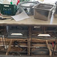 Banco bar refrigerato IFI