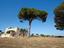 Immagine 16