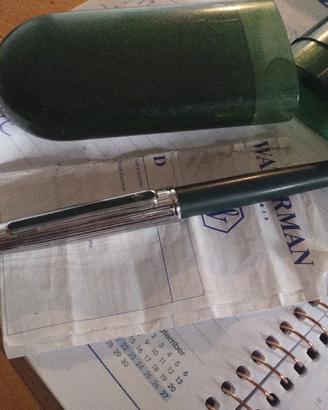 stilografica acciaio waterman D