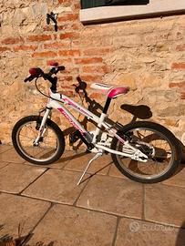 Bicicletta ruote 16” telaio in acciaio