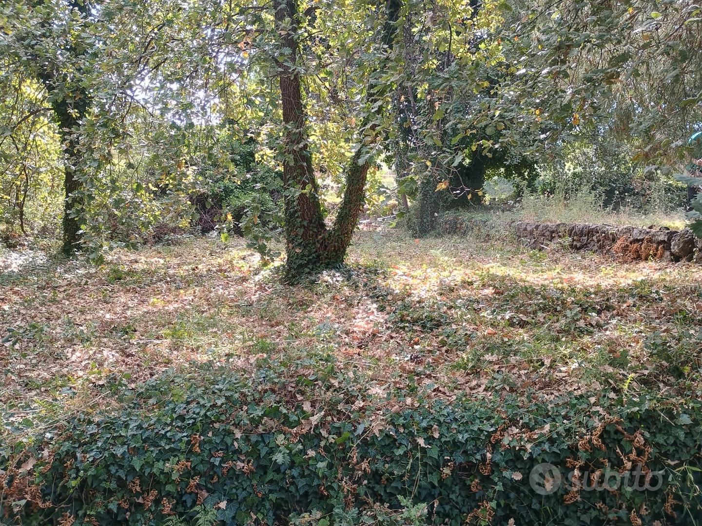Santa Venerina terreno con casa singola - Vista 5