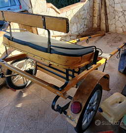 Calesse per pony e mezzi cavalli