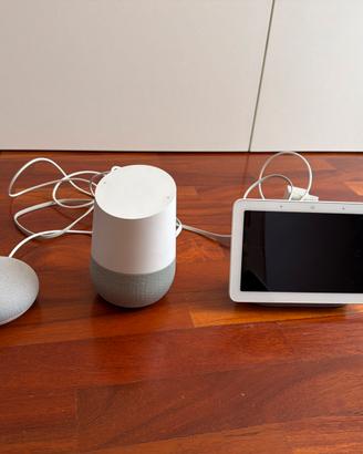 Set Google Home