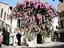Immagine 21