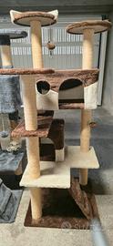 Casetta gatti