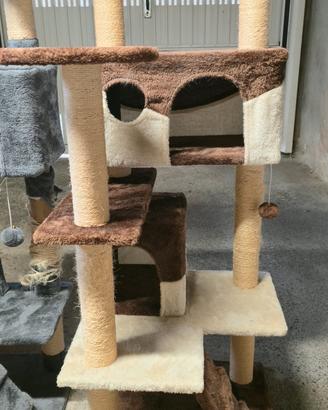 Casetta gatti