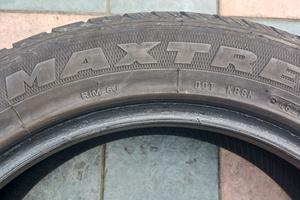 gomma estive MAXIMUS M1 (195/55) R16 91H