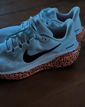 Nike Pegasus 