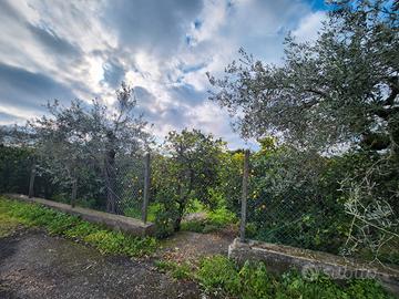 Casetta in Pietra con Giardino
