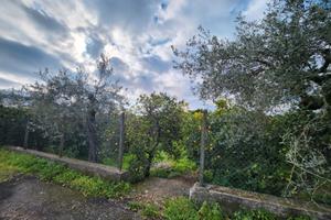Casetta in Pietra con Giardino