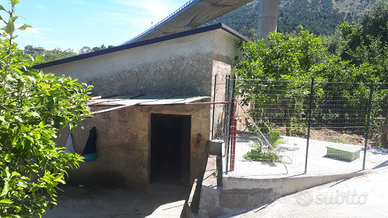 Terreno con magazzino