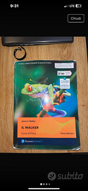 Il Walker - Libro di Fisica
