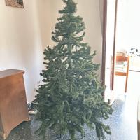 Albero di Natale