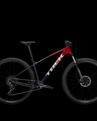 biciclette 