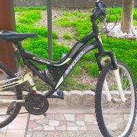 Bici MTB