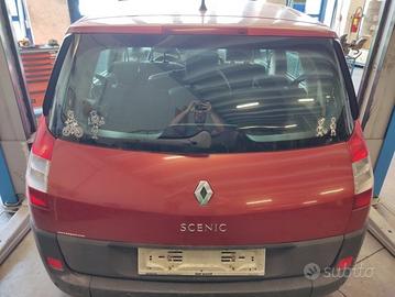 Portellone nudo RENAULT MEGANE SCENIC del 2005