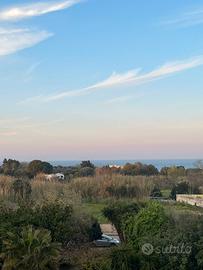 Vendita Appartamento