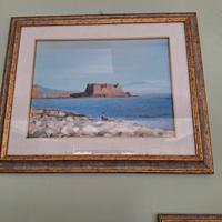 dipinto olio su tela 25x35 circa 