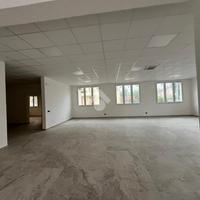 NEGOZIO A SISSA TRECASALI