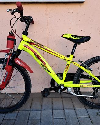 Bicicletta bimbi ruote diametro 20"