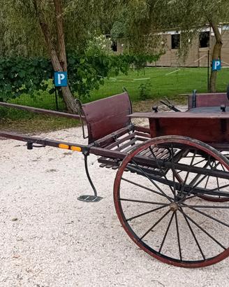 Calesse per cavallo