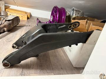 Forcellone Posteriore Panamerica Special