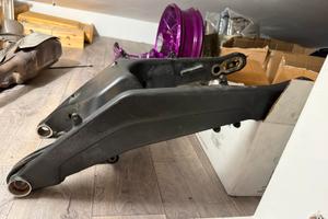 Forcellone Posteriore Panamerica Special