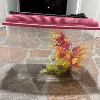 Acquario per pesci rossi