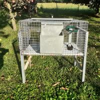 Gabbia coniglio maschio
