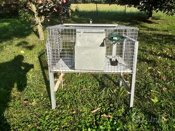 Gabbia coniglio maschio